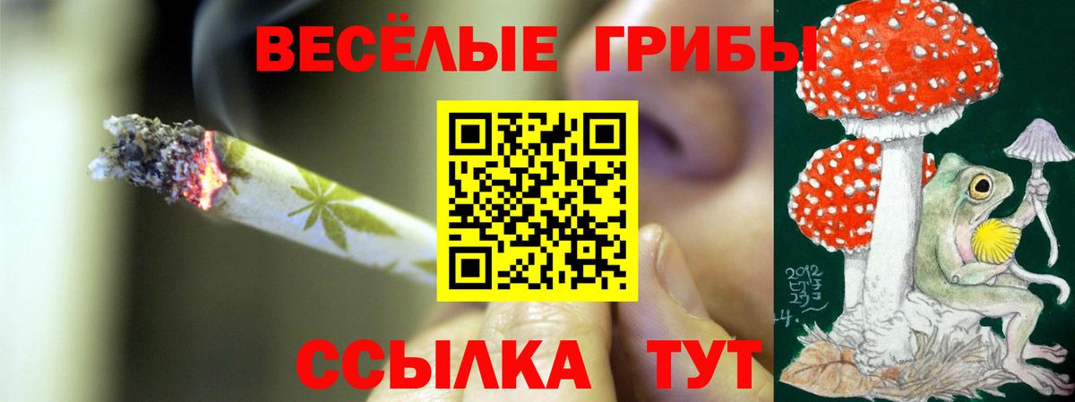 Балтийск  Псилоцибиновые грибы Psilocybe  Вход с VPN 